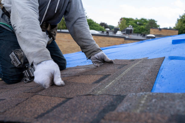 Roof Gutter Cleaning in Gilbert, AZ